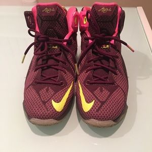 LeBron james Nike performance shoes.